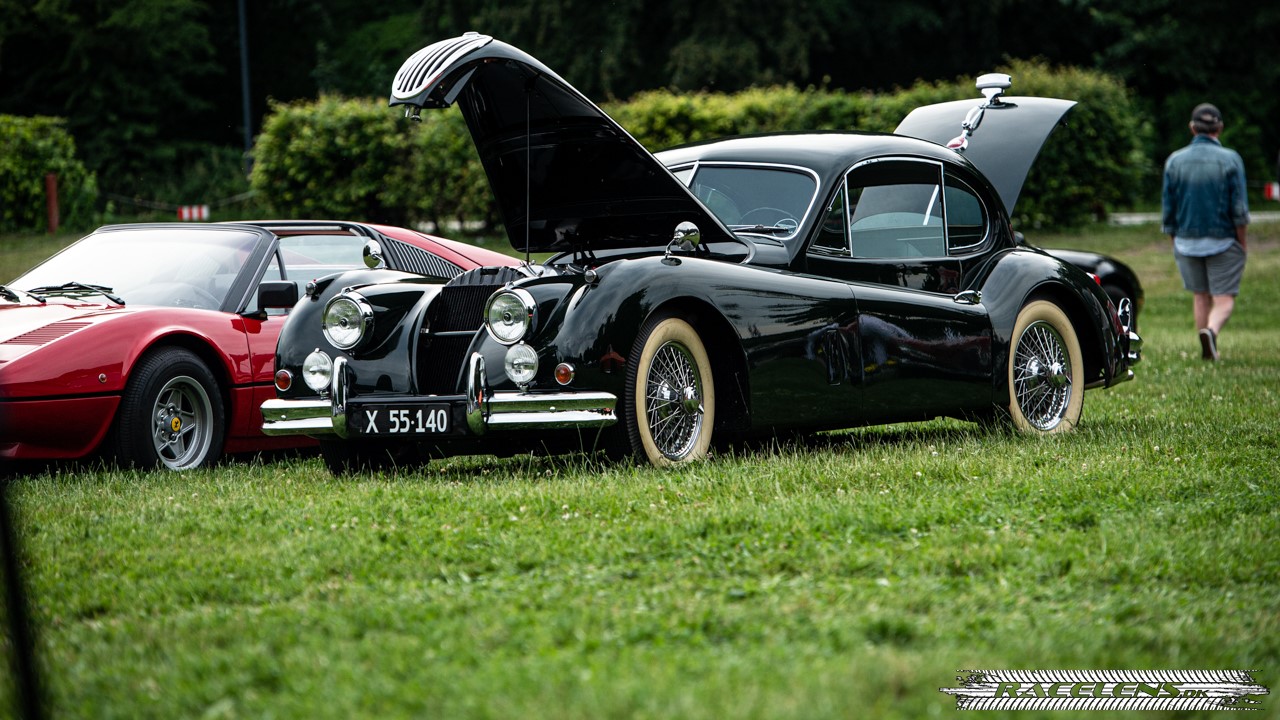 All Classic Cars på Præstø Havn - Racelens